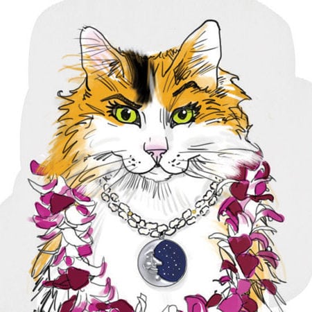 Kitty_1